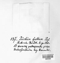Image Associated With the Occurence